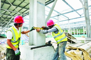 白云農創共享農副產品批發中心預計年底投用，建筑施工進展順利