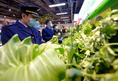 重要方案印發(fā)！事關(guān)每個(gè)邢臺(tái)人！食用農(nóng)產(chǎn)品安全新規(guī)來了